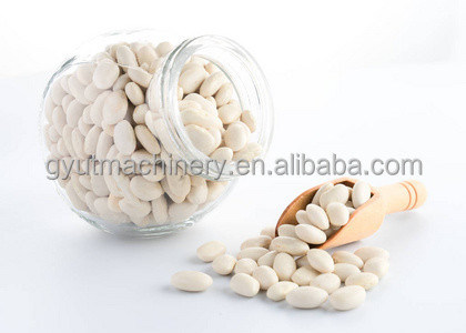 Máquina de exfoliación húmeda para el agrietamiento y el agrietamiento de los núcleos de albaricoques