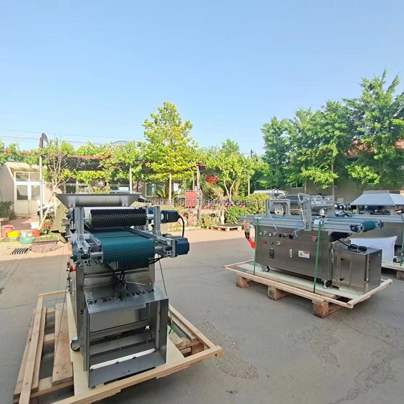 Máquina de sembrar tomate 120 bandeja semillas de lechuga semillas de verduras plantación de semillas para bandeja de plástico