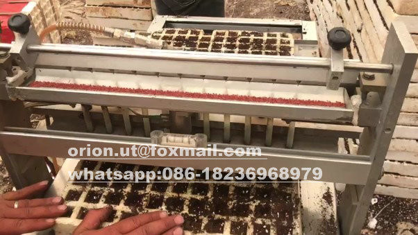 Talleres de reparación de maquinaria se benefician de 100 millones de máquinas de siembra de zanahoria, pimienta, tomate y brócoli