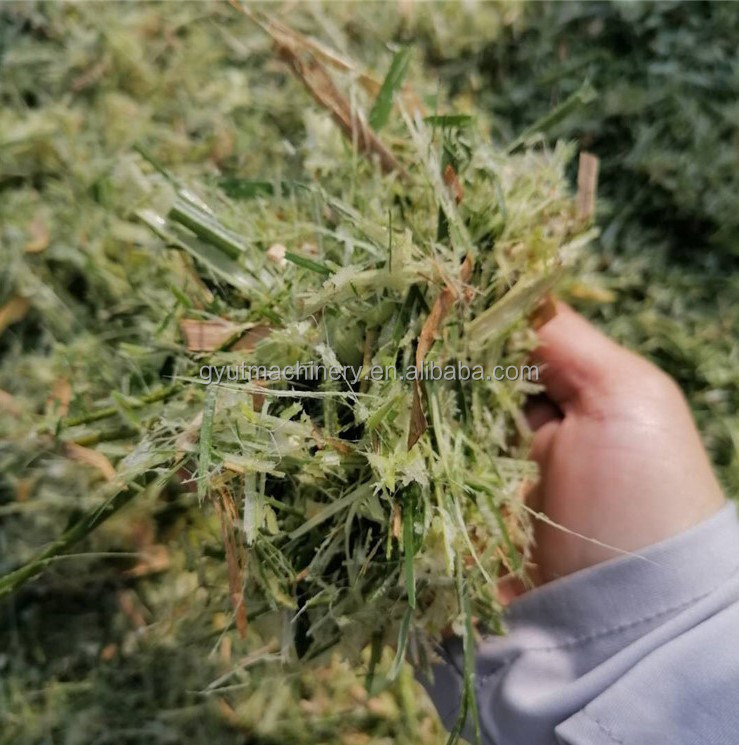 Cortador de forraje de primera clase cortador de paja para cortar hierba de ganado en Pakistán