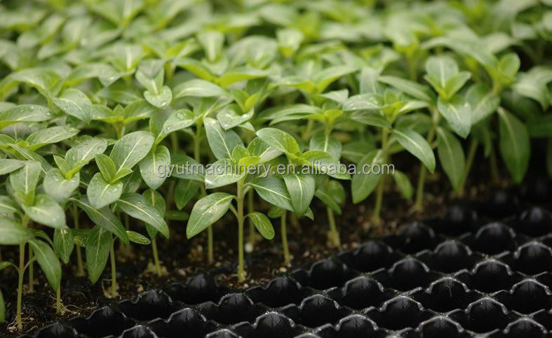 1140*850*1050mm Tamaño Agricultura Máquina de sembrar microgreens para la siembra de semillas de tomate