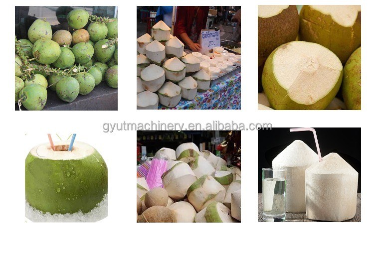 Mejorar su juego de producción de fragmentos con 0.8kw Green Coconut Peeler Trimming Dehusker