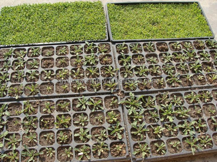 Precisión de siembra del 95% al 98% Máquina de siembra para sembrar semillas de lechuga de cebolla