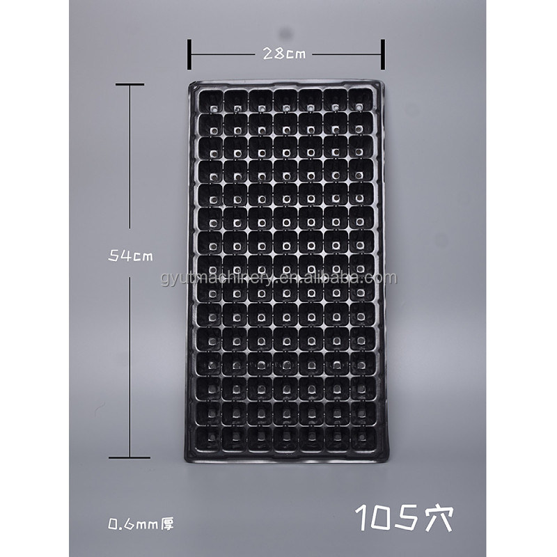 200 bandejas por hora bandeja negra plantación de semillas de repollo para una plantación rápida y precisa