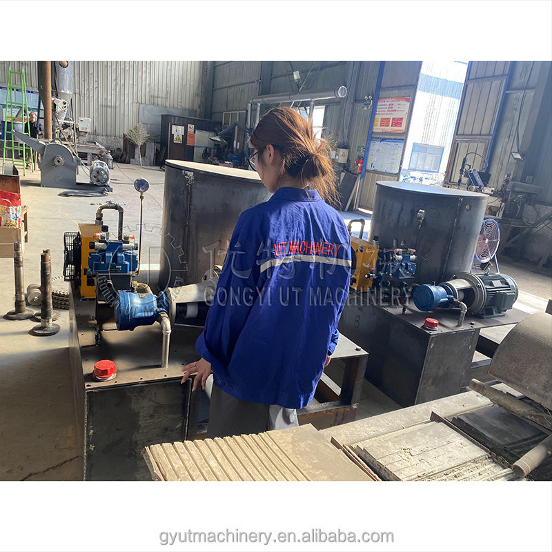 60 mm 70 mm 80 mm cilindro forma de caballo de estiércol Briquette Presión de la máquina para las astillas de madera