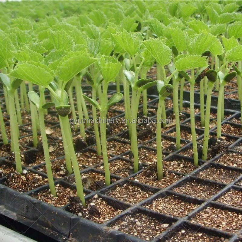 Plantador de semillas microgreens de 288 agujeros autolimpiante para semillas de medios de cultivo de 600 * 700 * 800 mm