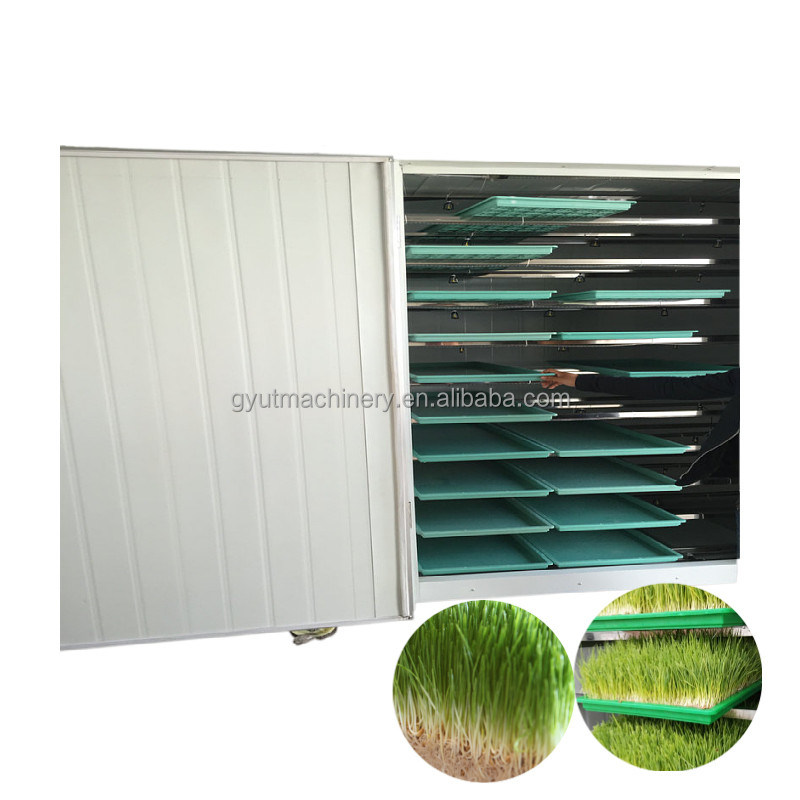 Equipo de procesamiento de raíces de frijoles para consumo diario de agua de 3m3 Producción de brotes