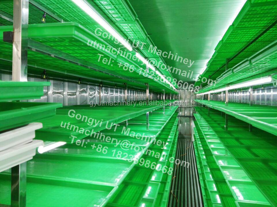 Tipo de contenedor Máquina de germinación de hierbas de semillas de trigo y cebada para plantas de fabricación