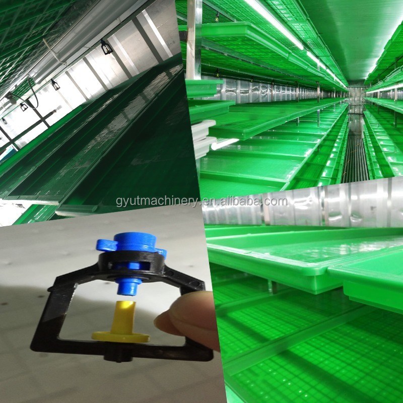 500 kg/día Capacidad de contenedores tipo Muti de capa de cebada Máquinas para el cultivo de microgreens