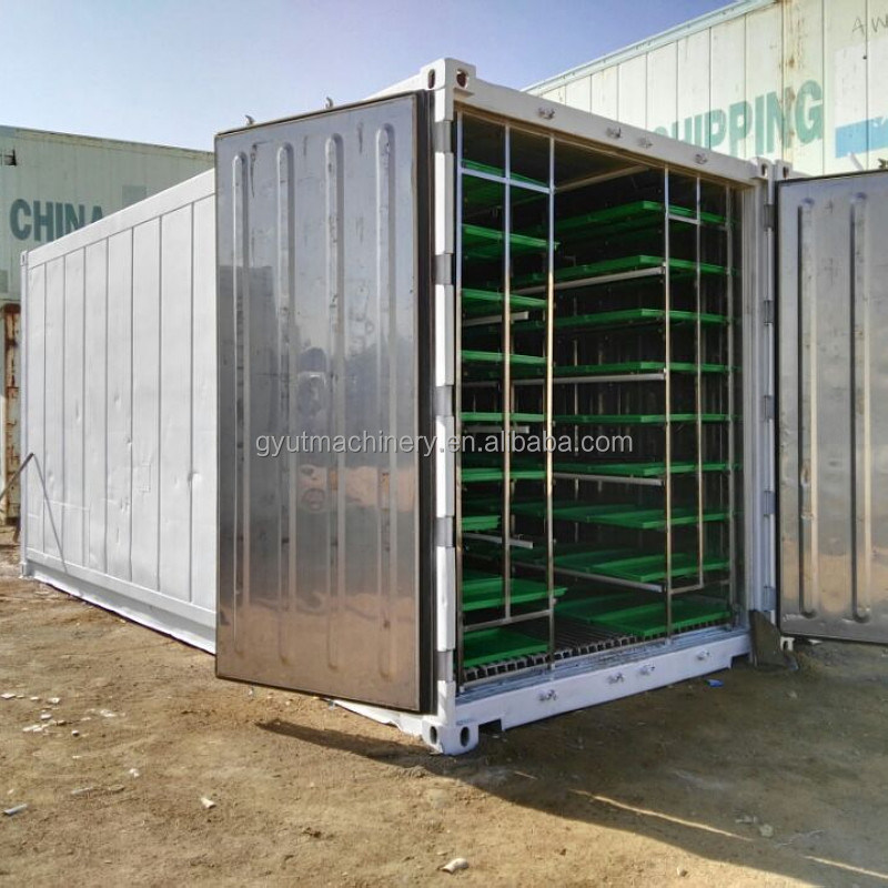 El cultivo de hierba de cebada se ha hecho con un sistema de forraje hidropónico simple con un ciclo de producción rápido