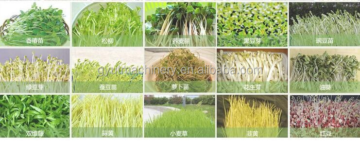 2024 Publicidad C Máquinas cosechadoras para cosechar productos acuapónicos