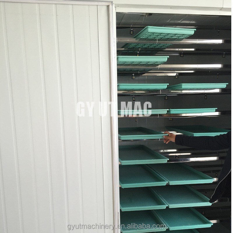 El futuro de la agricultura urbana